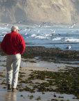 Agent Profile Image for David Hodges : 01261936