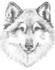 Agent Profile Image for Rod Hibner : 01424941