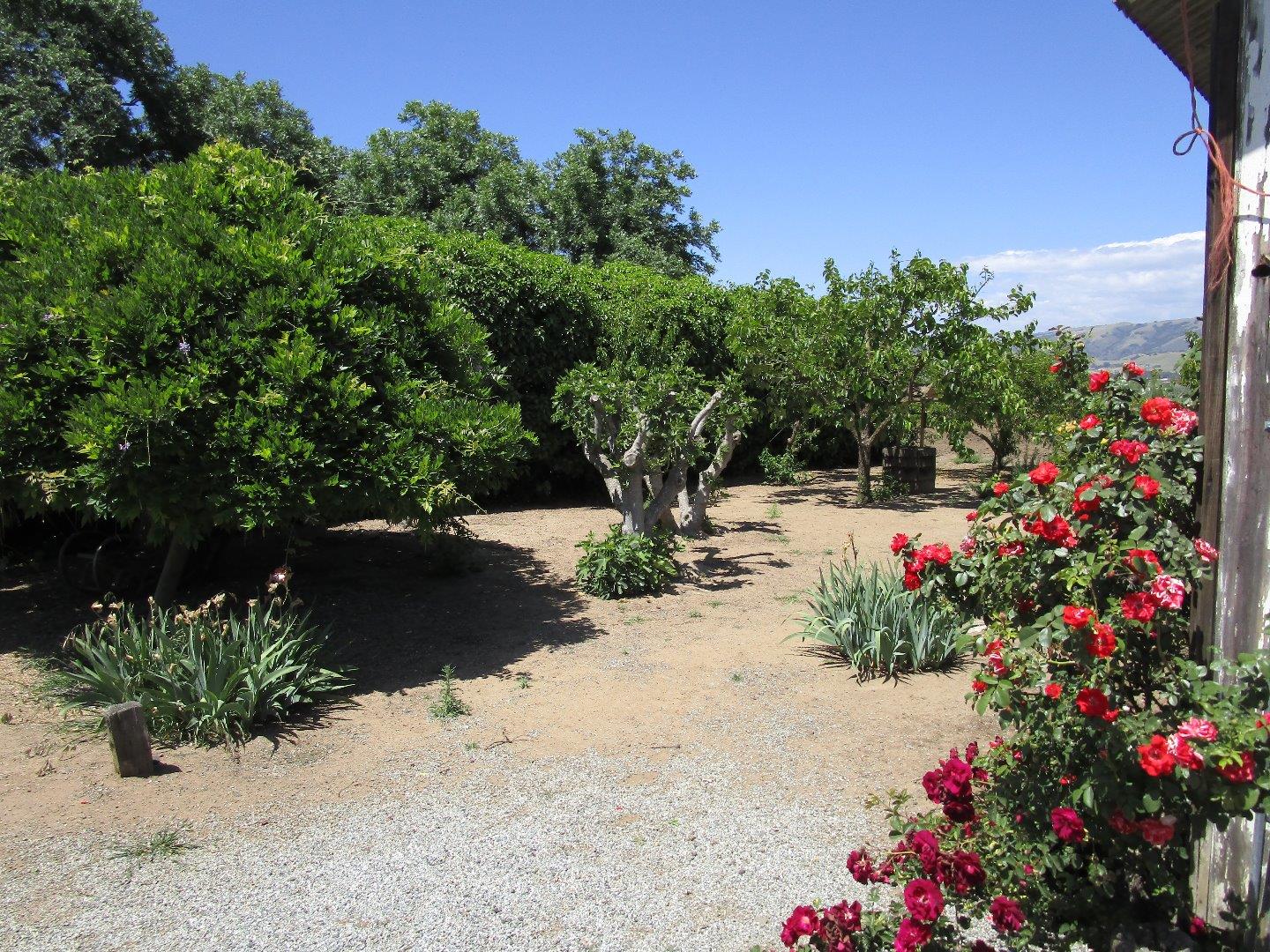 2025 Pacheco Pass Highway, Gilroy, California 95020, ,Residential Income,For Sale,2025 Pacheco Pass Highway,ML81613619