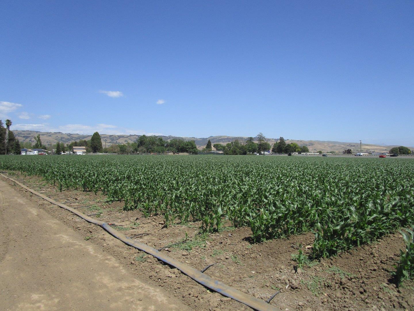 2025 Pacheco Pass Highway, Gilroy, California 95020, ,Residential Income,For Sale,2025 Pacheco Pass Highway,ML81613619