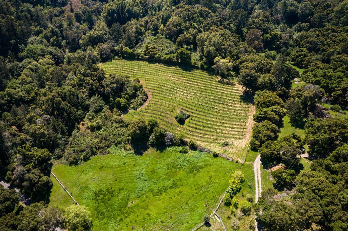 5660 Alpine Road, Portola Valley, California 94028, ,Land,For Sale,5660 Alpine Road,ML81803731