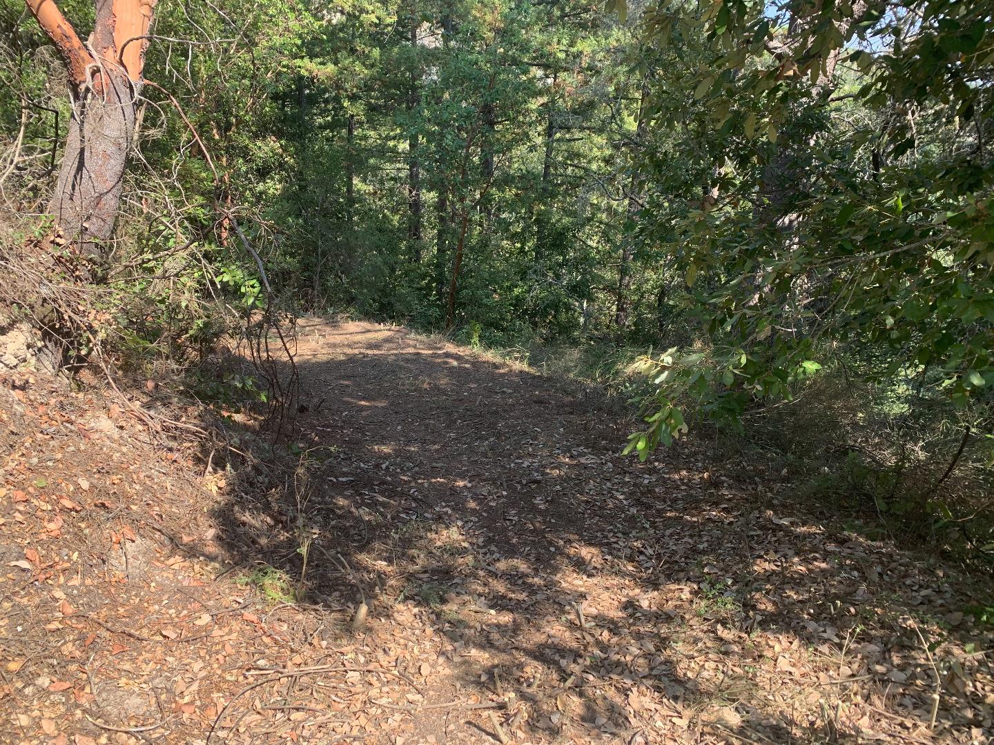 950 Middleton Drive, Boulder Creek, California 95006, ,Land,For Sale,950 Middleton Drive,ML81807489
