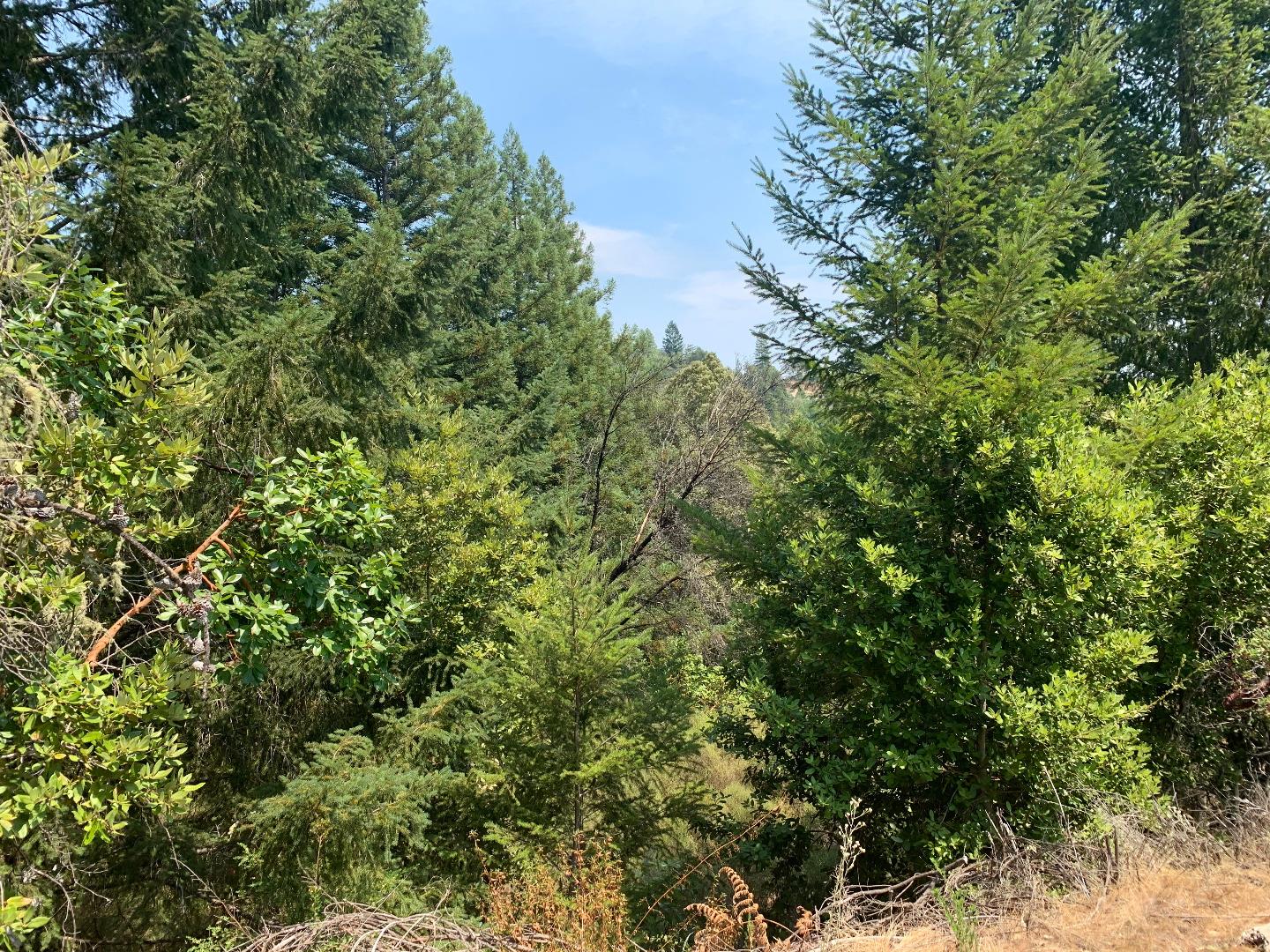 950 Middleton Drive, Boulder Creek, California 95006, ,Land,For Sale,950 Middleton Drive,ML81807489