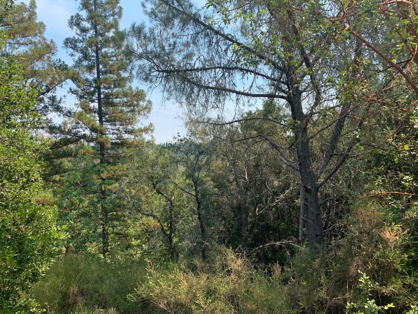 950 Middleton Drive, Boulder Creek, California 95006, ,Land,For Sale,950 Middleton Drive,ML81807489