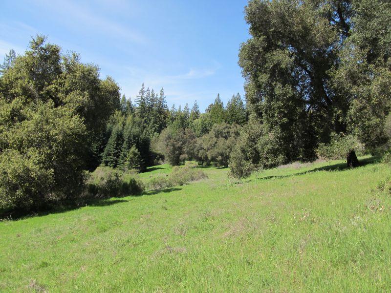 0 Two Bar Road, Boulder Creek, California 95006, ,Land,For Sale,0 Two Bar Road,ML81810757