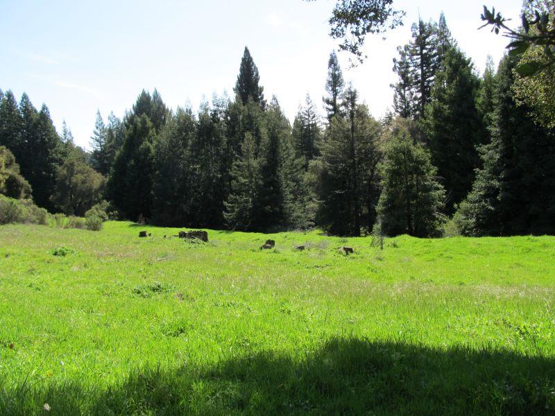 0 Two Bar Road, Boulder Creek, California 95006, ,Land,For Sale,0 Two Bar Road,ML81810757