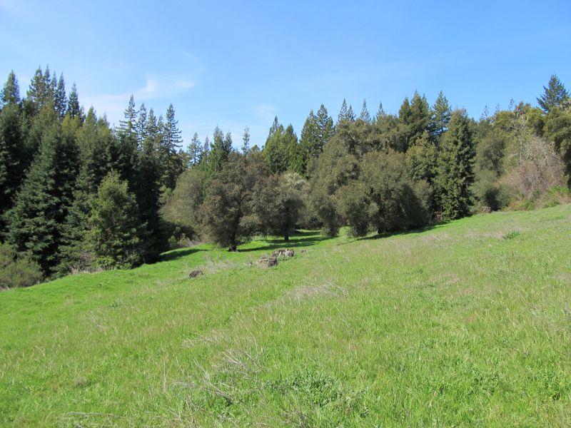 0 Two Bar Road, Boulder Creek, California 95006, ,Land,For Sale,0 Two Bar Road,ML81810757