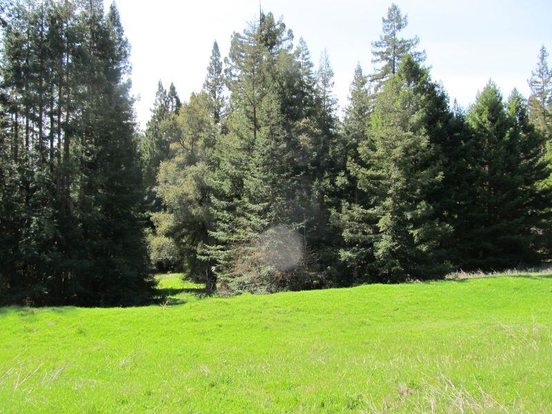 0 Two Bar Road, Boulder Creek, California 95006, ,Land,For Sale,0 Two Bar Road,ML81810757