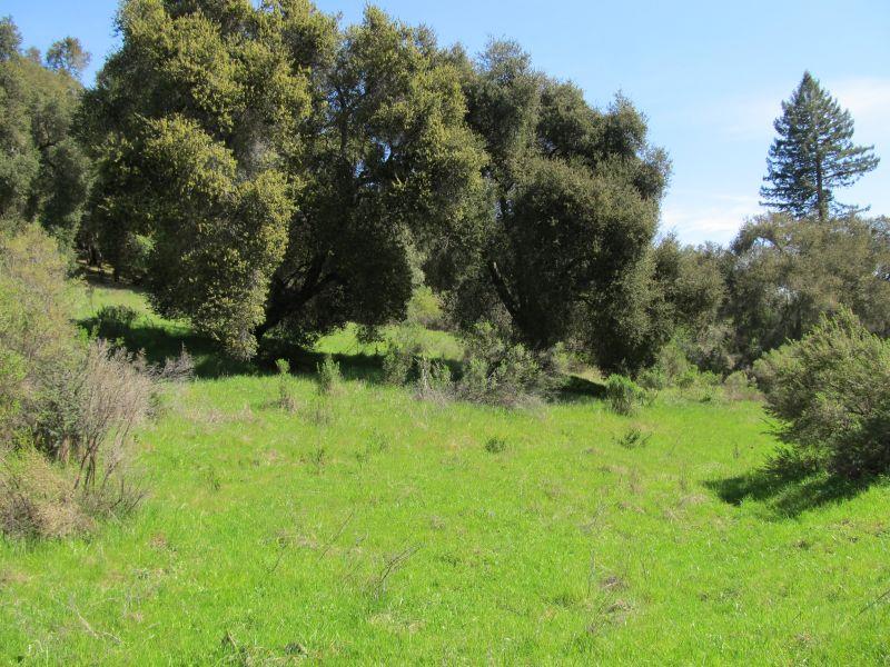 0 Two Bar Road, Boulder Creek, California 95006, ,Land,For Sale,0 Two Bar Road,ML81810757