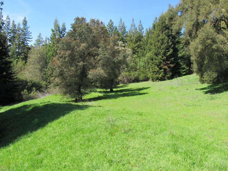 0 Two Bar Road, Boulder Creek, California 95006, ,Land,For Sale,0 Two Bar Road,ML81810757