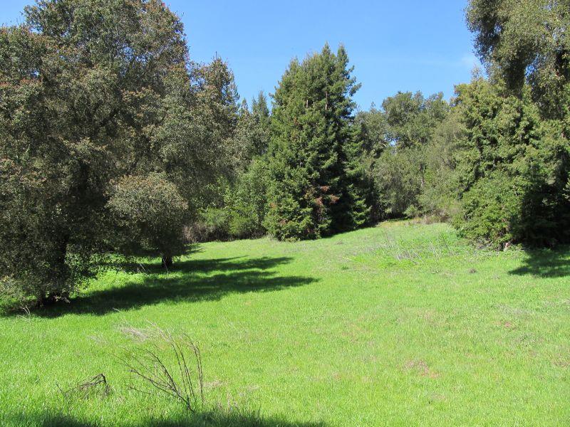 0 Two Bar Road, Boulder Creek, California 95006, ,Land,For Sale,0 Two Bar Road,ML81810757