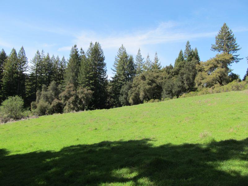 0 Two Bar Road, Boulder Creek, California 95006, ,Land,For Sale,0 Two Bar Road,ML81810757