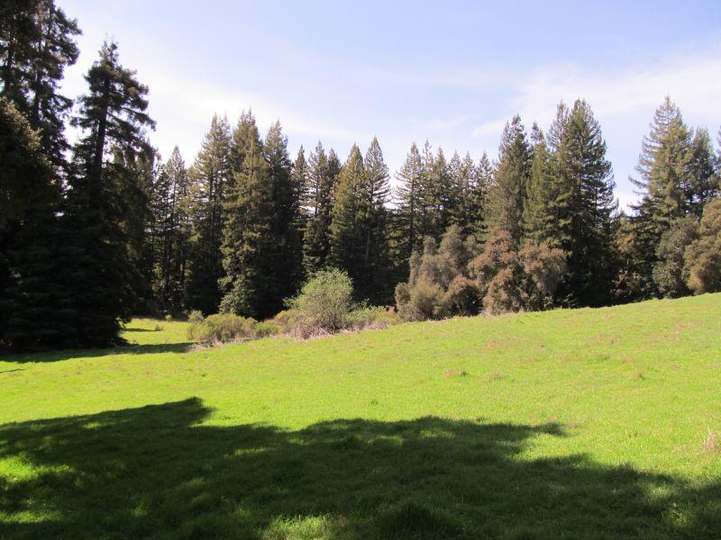 0 Two Bar Road, Boulder Creek, California 95006, ,Land,For Sale,0 Two Bar Road,ML81810757