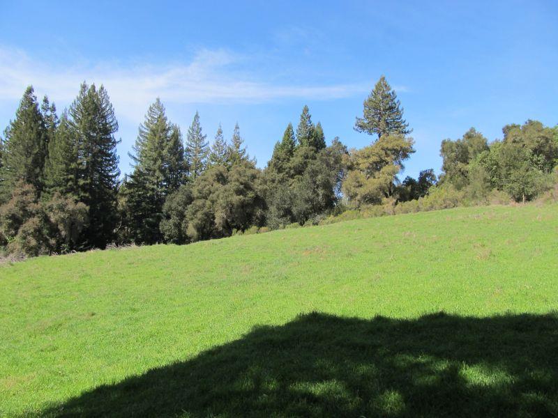 0 Two Bar Road, Boulder Creek, California 95006, ,Land,For Sale,0 Two Bar Road,ML81810757