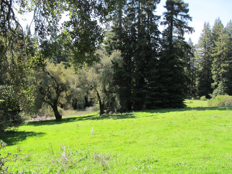 0 Two Bar Road, Boulder Creek, California 95006, ,Land,For Sale,0 Two Bar Road,ML81810757