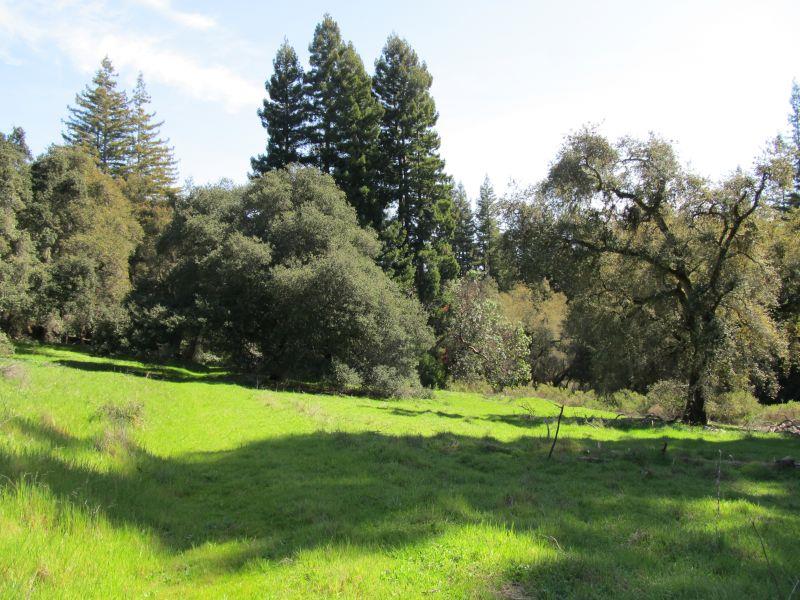 0 Two Bar Road, Boulder Creek, California 95006, ,Land,For Sale,0 Two Bar Road,ML81810757