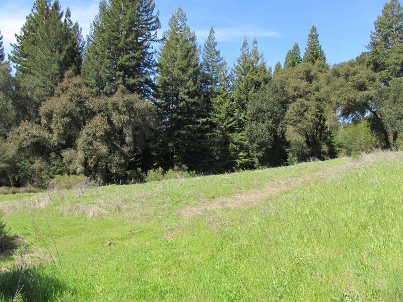 0 Two Bar Road, Boulder Creek, California 95006, ,Land,For Sale,0 Two Bar Road,ML81810757