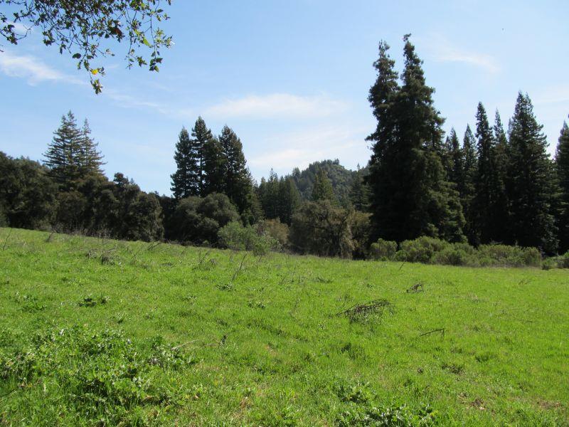 0 Two Bar Road, Boulder Creek, California 95006, ,Land,For Sale,0 Two Bar Road,ML81810757