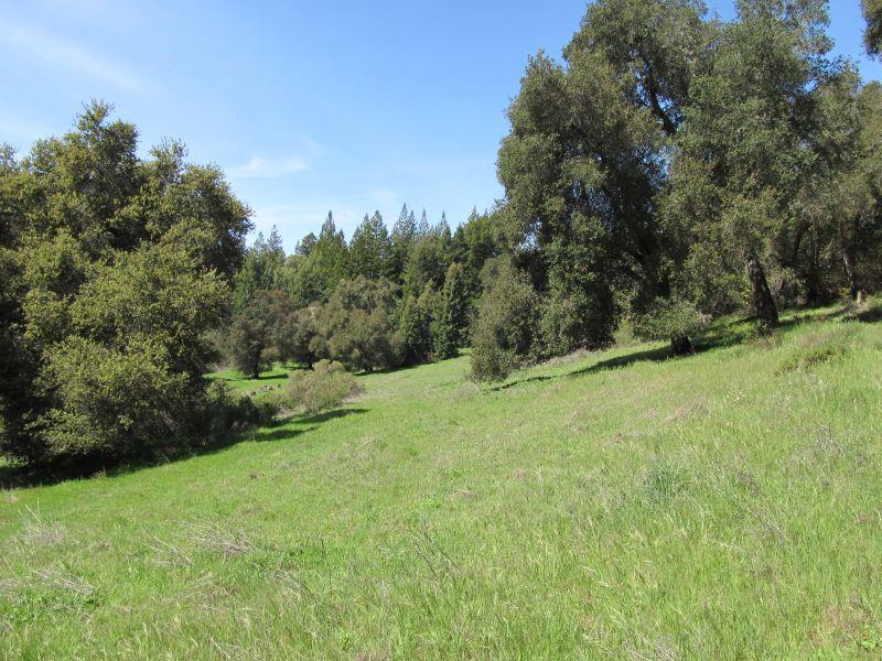 0 Two Bar Road, Boulder Creek, California 95006, ,Land,For Sale,0 Two Bar Road,ML81810757