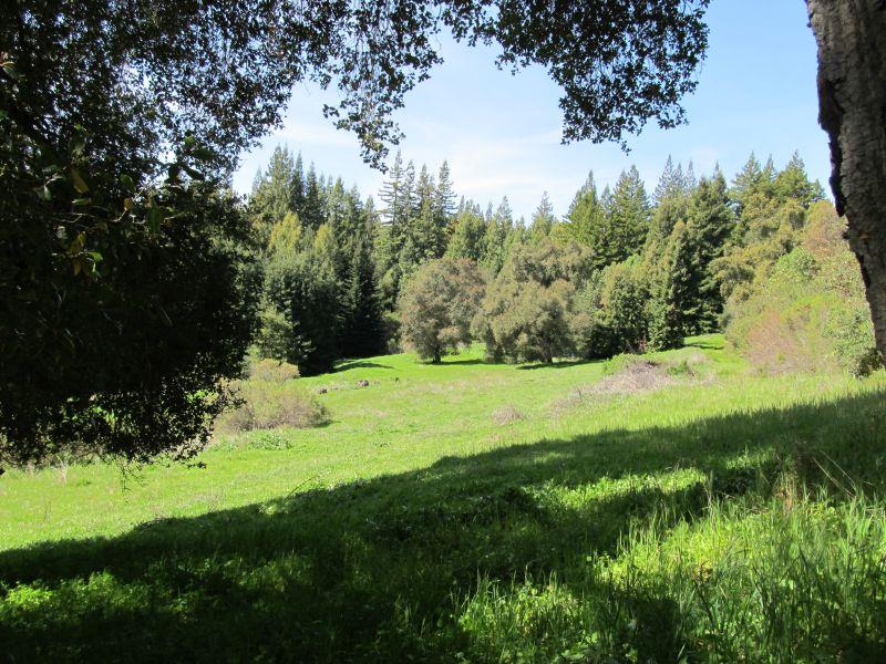 0 Two Bar Road, Boulder Creek, California 95006, ,Land,For Sale,0 Two Bar Road,ML81810757