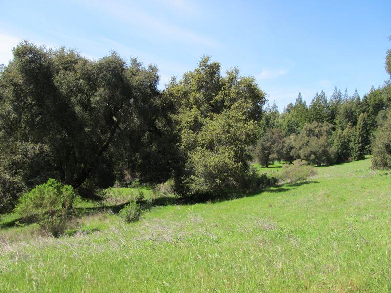 0 Two Bar Road, Boulder Creek, California 95006, ,Land,For Sale,0 Two Bar Road,ML81810757