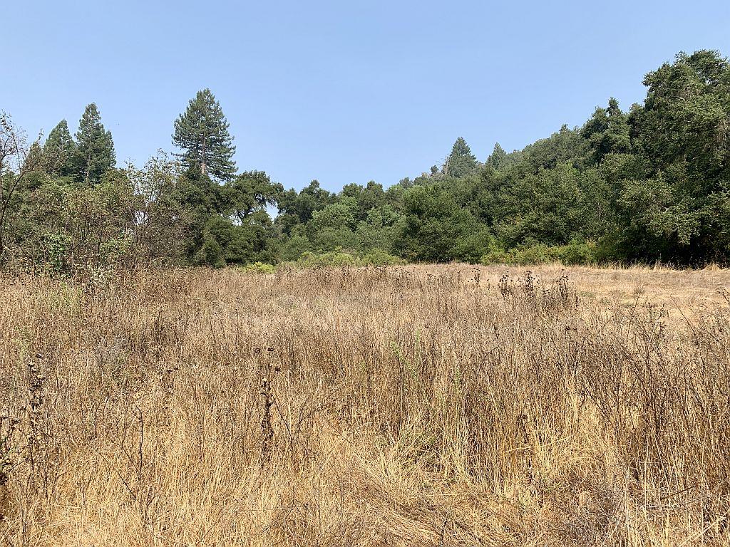 0 Two Bar Road, Boulder Creek, California 95006, ,Land,For Sale,0 Two Bar Road,ML81810757