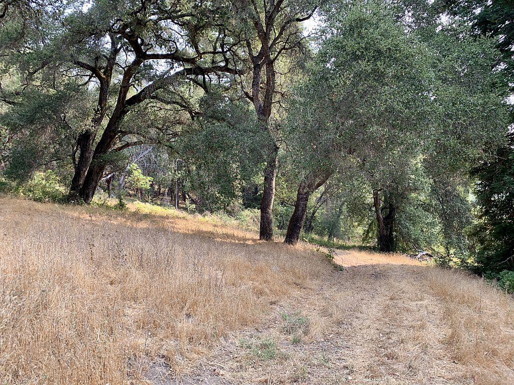 0 Two Bar Road, Boulder Creek, California 95006, ,Land,For Sale,0 Two Bar Road,ML81810757