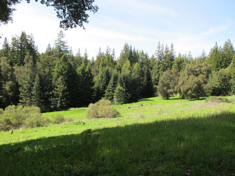 0 Two Bar Road, Boulder Creek, California 95006, ,Land,For Sale,0 Two Bar Road,ML81810757