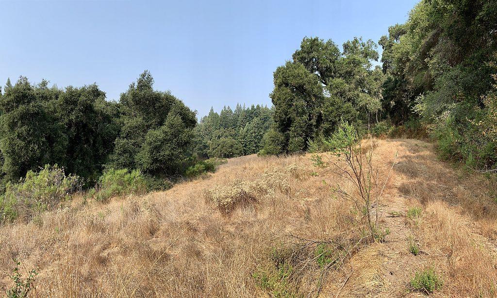 0 Two Bar Road, Boulder Creek, California 95006, ,Land,For Sale,0 Two Bar Road,ML81810757