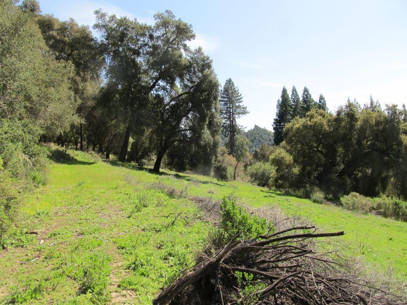 0 Two Bar Road, Boulder Creek, California 95006, ,Land,For Sale,0 Two Bar Road,ML81810757