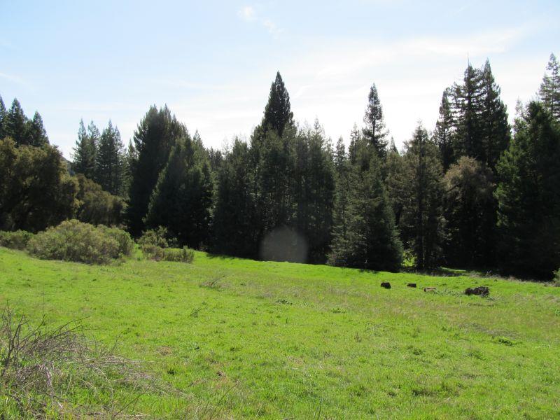 0 Two Bar Road, Boulder Creek, California 95006, ,Land,For Sale,0 Two Bar Road,ML81810757