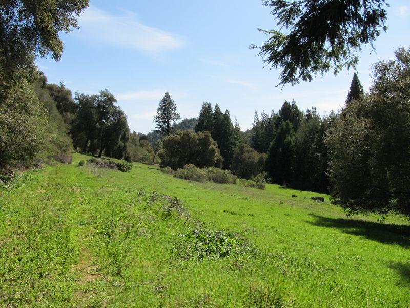 0 Two Bar Road, Boulder Creek, California 95006, ,Land,For Sale,0 Two Bar Road,ML81810757