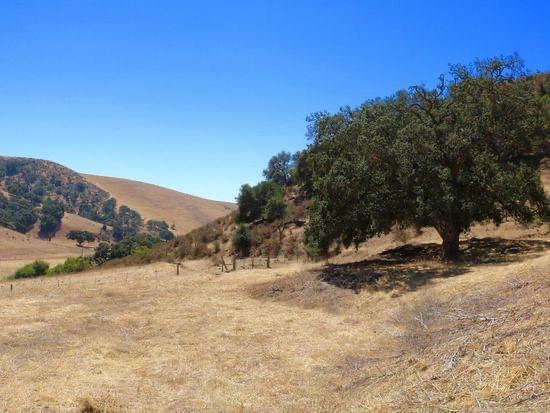 32800 Johnson Canyon Road, Gonzales, California 93926, ,Land,For Sale,32800 Johnson Canyon Road,ML81860026