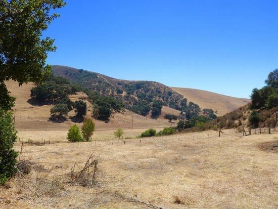 32800 Johnson Canyon Road, Gonzales, California 93926, ,Land,For Sale,32800 Johnson Canyon Road,ML81860026