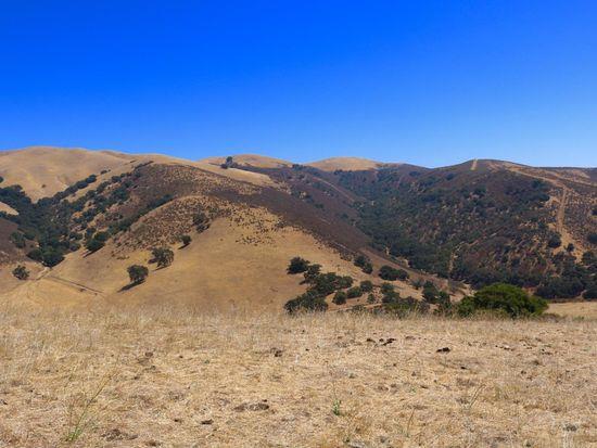 32800 Johnson Canyon Road, Gonzales, California 93926, ,Land,For Sale,32800 Johnson Canyon Road,ML81860026