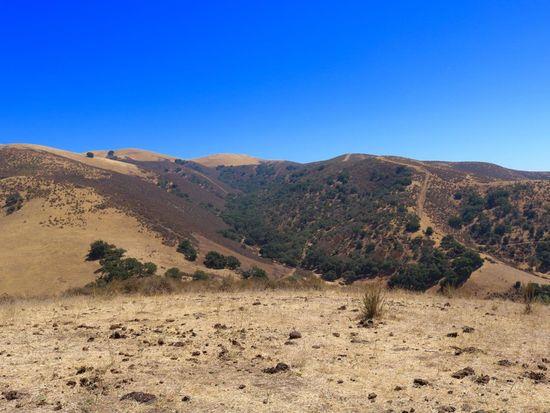 32800 Johnson Canyon Road, Gonzales, California 93926, ,Land,For Sale,32800 Johnson Canyon Road,ML81860026