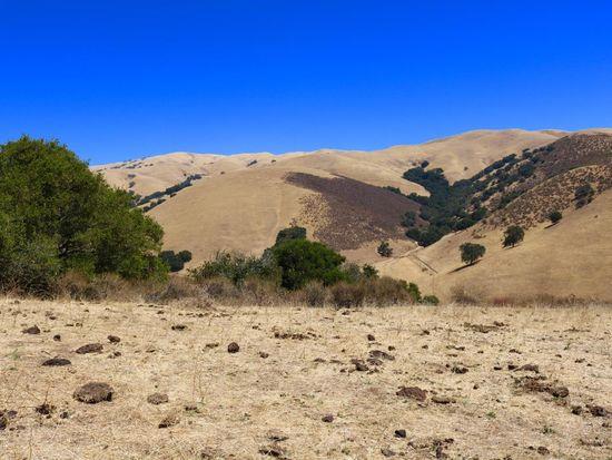 32800 Johnson Canyon Road, Gonzales, California 93926, ,Land,For Sale,32800 Johnson Canyon Road,ML81860026