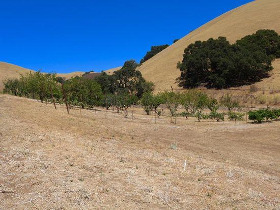 32800 Johnson Canyon Road, Gonzales, California 93926, ,Land,For Sale,32800 Johnson Canyon Road,ML81860026