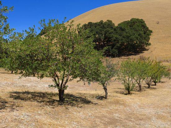 Detail Gallery Image 57 of 60 For 32800 Johnson Canyon Rd, Gonzales,  CA 93926 - – Beds | – Baths