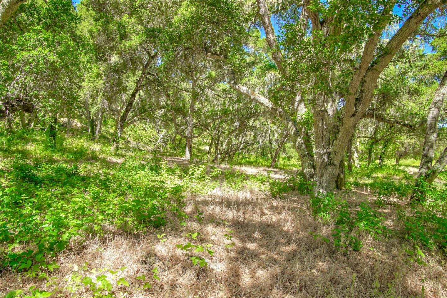 Detail Gallery Image 8 of 23 For 36000 E Carmel Valley Rd, Carmel Valley,  CA 93924 - – Beds | – Baths