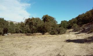 Front Image Thumbnail for ML81867508