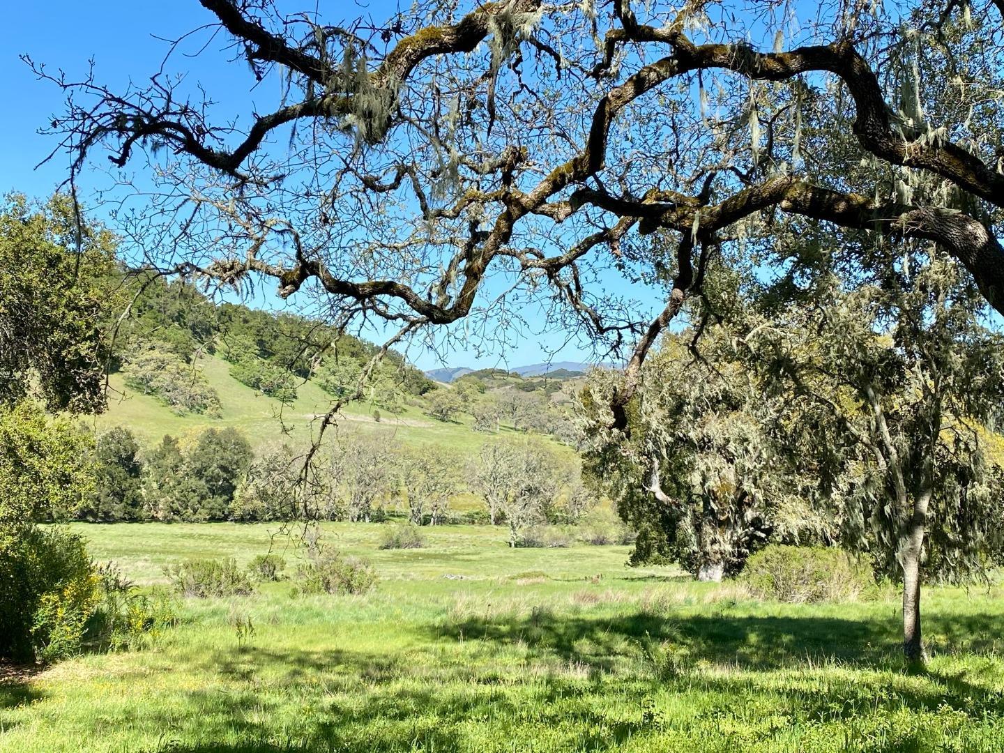 Detail Gallery Image 1 of 1 For 3 Wild Turkey Run, Carmel,  CA 93923 - – Beds | – Baths