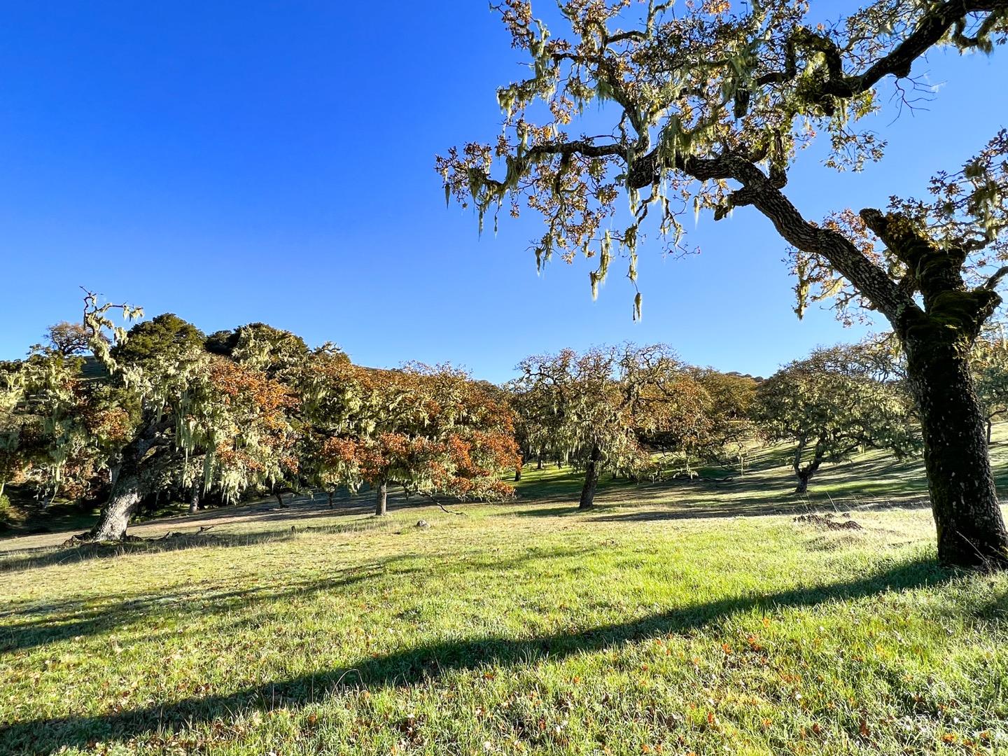 Detail Gallery Image 1 of 1 For 14 Vasquez Trl, Carmel Valley,  CA 93923 - – Beds | – Baths