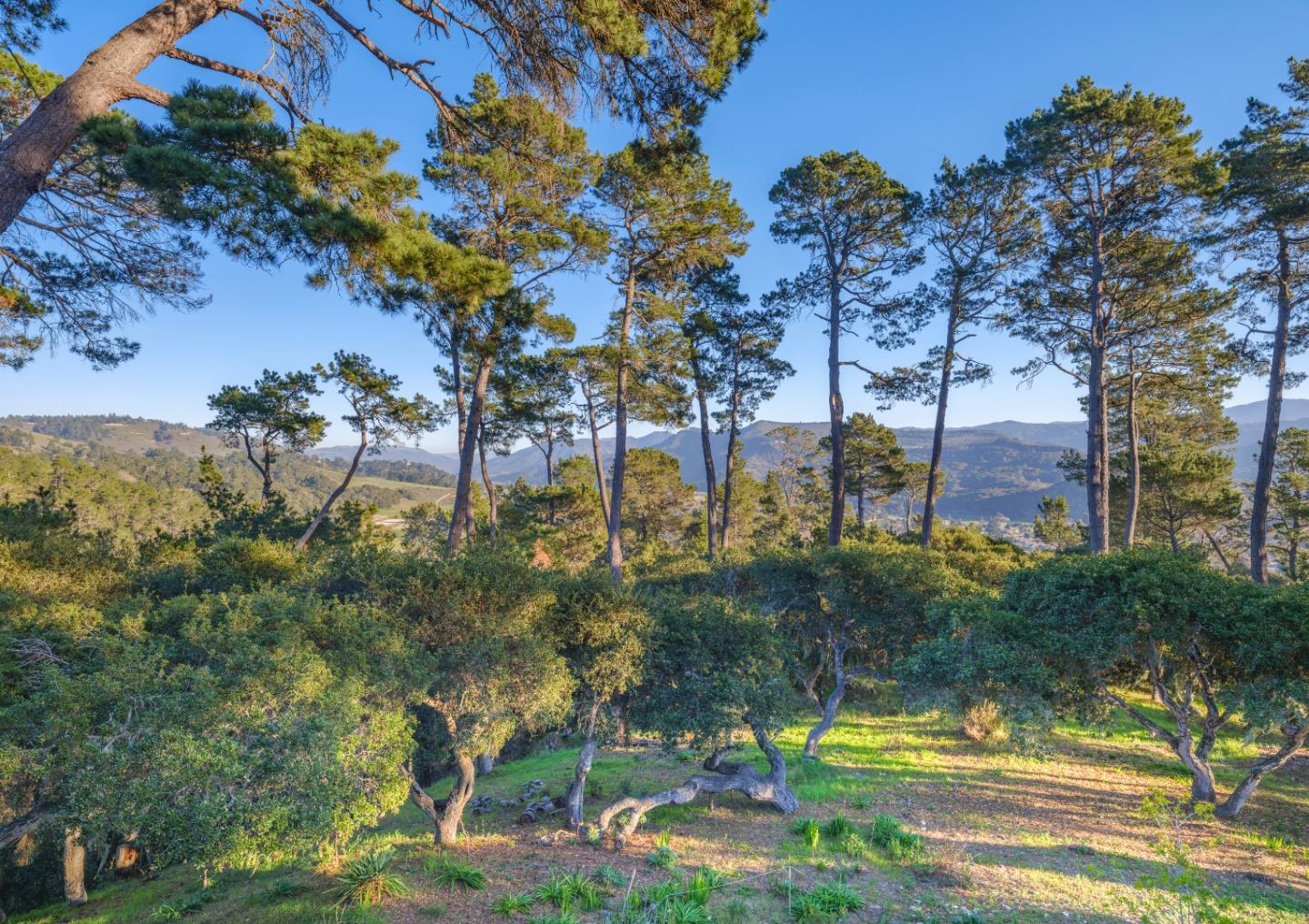 Detail Gallery Image 1 of 1 For 154 Del Mesa Carmel, Carmel,  CA 93923 - 2 Beds | 2 Baths