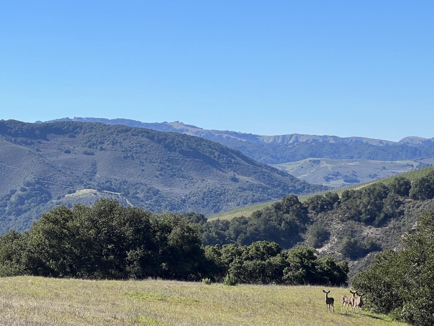 Detail Gallery Image 1 of 1 For 900 Laureles Grade Road, Carmel Valley,  CA 93924 - – Beds | – Baths