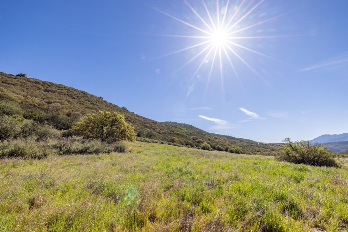 Detail Gallery Image 11 of 46 For 43515 Carmel Valley Rd, Greenfield,  CA 93927 - – Beds | – Baths