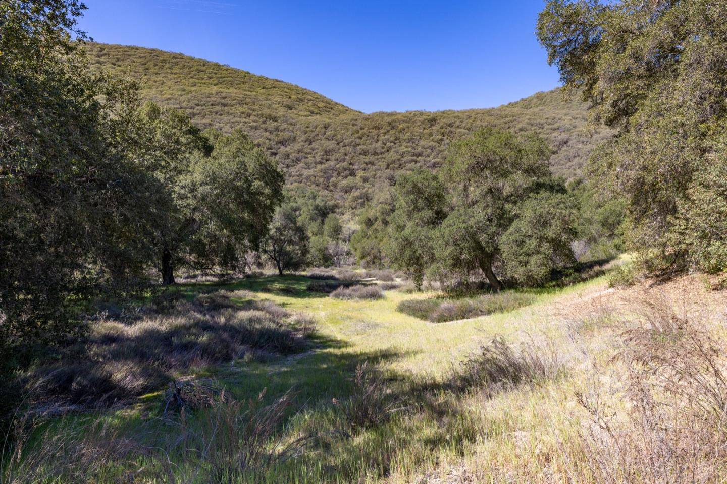 Detail Gallery Image 21 of 46 For 43515 Carmel Valley Rd, Greenfield,  CA 93927 - – Beds | – Baths
