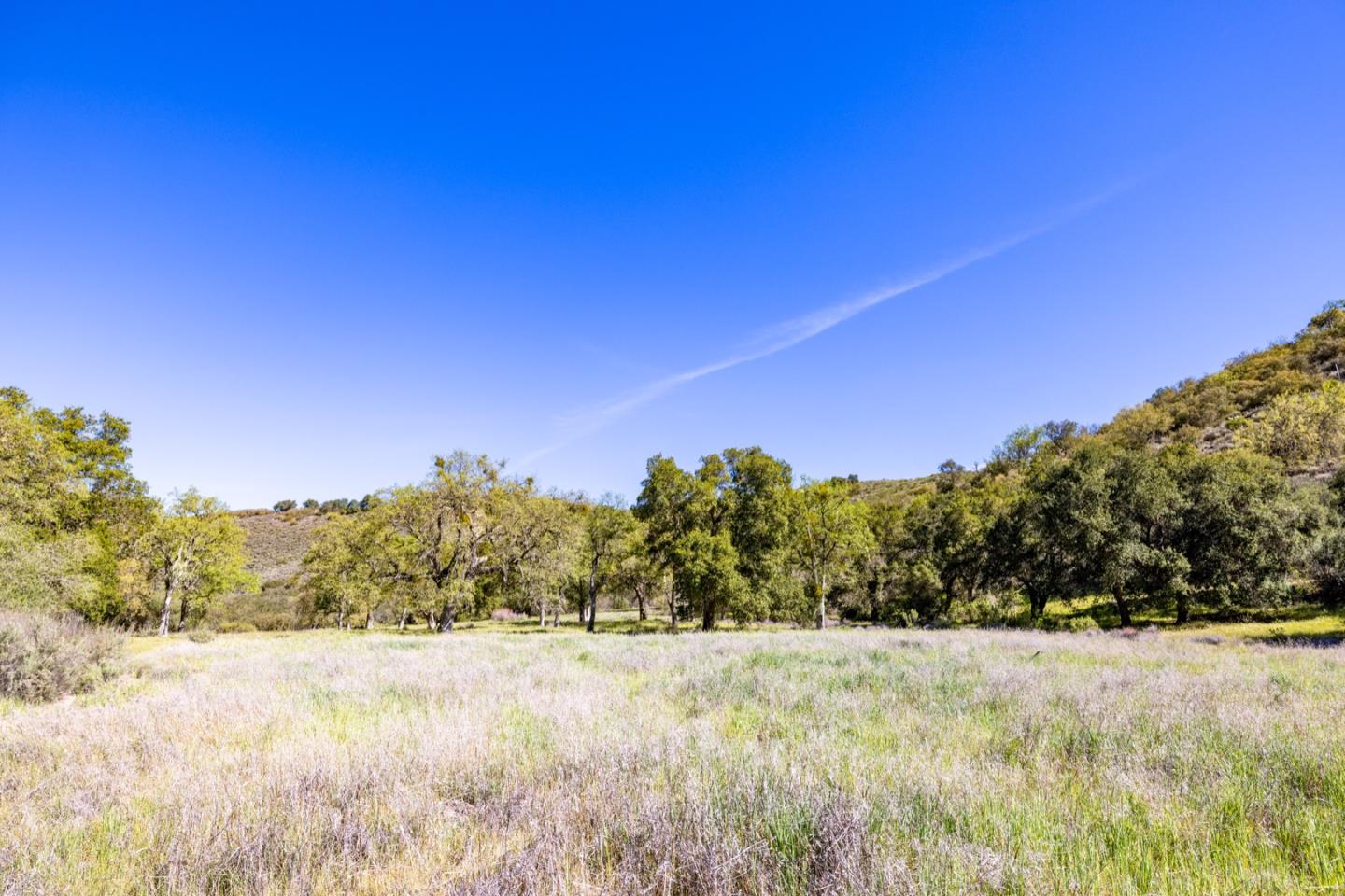 Detail Gallery Image 24 of 46 For 43515 Carmel Valley Rd, Greenfield,  CA 93927 - – Beds | – Baths