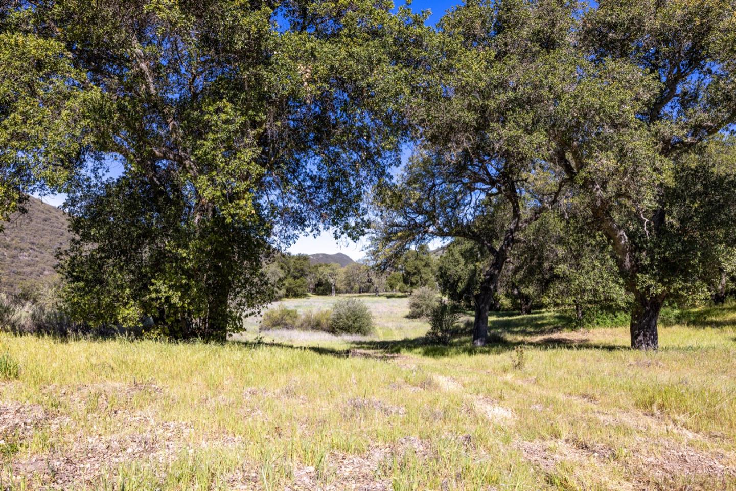 Detail Gallery Image 27 of 46 For 43515 Carmel Valley Rd, Greenfield,  CA 93927 - – Beds | – Baths