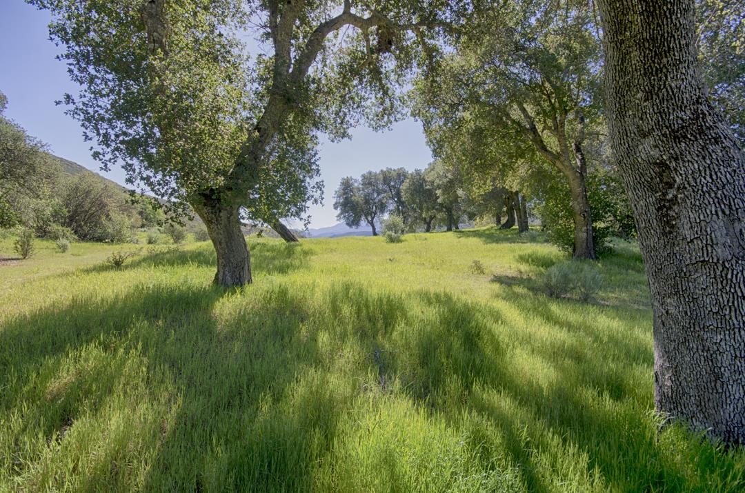 Detail Gallery Image 46 of 46 For 43515 Carmel Valley Rd, Greenfield,  CA 93927 - – Beds | – Baths